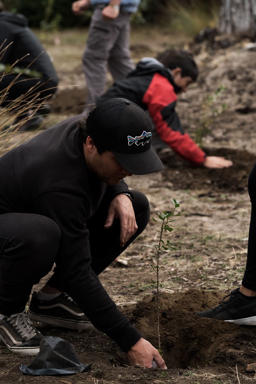 Voluntarios plantando especies nativas en Isla Victoria